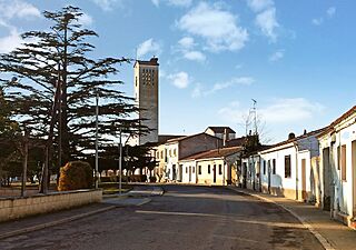 C. Alt Pla de la Font IMG.jpg