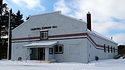 Caledonia Township Hall - Spruce Michigan.jpg