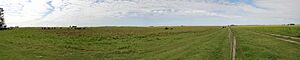 Archivo:Campo Departamento Conhelo