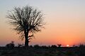 Cholistan56926