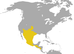 Mapa de distribución de Conepatus leuconotus