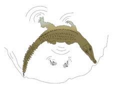 Crocodylus intermedius hunting technique - 2