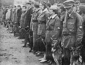 Archivo:Dogtrainingschool