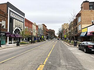 Downtown Ann Arbor, 2020-05-05.jpg