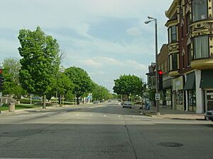 Archivo:Downtown Janesville