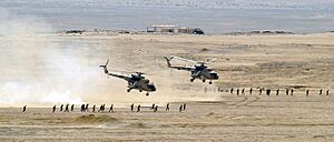 Archivo:Egyptian Mi-8 Hip helicopters after unloading troops