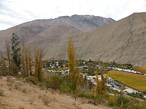 Archivo:El pueblo de Pisco Elqui (Chile), desde la ladera de un cerro