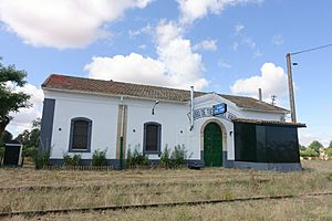 Archivo:Estación de El Cubo de Tierra del Vino 02