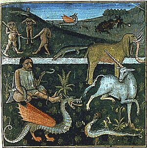Archivo:Fauna of Ethiopia (BnF F 22971)