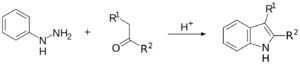 Archivo:Fischer indole reaction scheme
