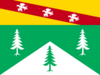 Flag of Vosges.svg