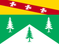 Flag of Vosges