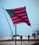 Archivo:Hammons flag