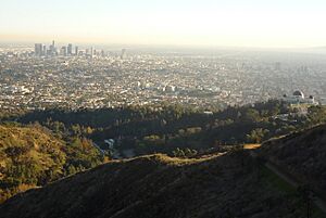 Archivo:Hollywood Hills - panoramio - Colin W (4)