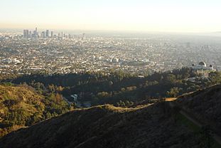 Archivo:Hollywood Hills - panoramio - Colin W (4)