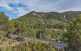 Ibiza Sa Talaia asv2023-04.jpg
