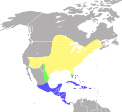 Distribución: Amarillo: estival Verde: migrante Azul: invernal