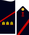Insignia de soldado profesional