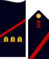Infmaridivi01