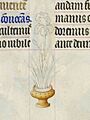 Iris inachevé - Très Riches Heures du duc de Berry - f.26v