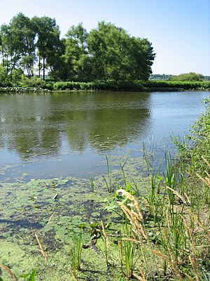 Archivo:Kalamazoo River