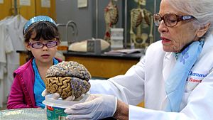 Archivo:Marian teaches girl about brains