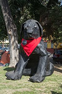 Negro Matapacos, Plaza Brasil, Santiago 20200128 08.jpg