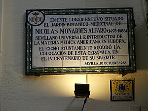 Archivo:Nicolás Monardes