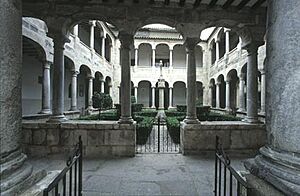 Archivo:ORIHUELA---Catedral-del-Sal