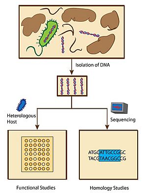 Archivo:Overview of metagenomic methods
