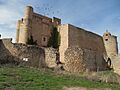 Palazuelos-Castillo 05