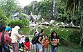 Pelican Pond Ragunan Zoo