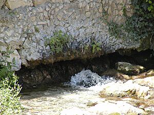 Archivo:Pescara quelle 01