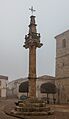 Picota, Fuentenovilla, Guadalajara, España, 2018-01-04, DD 06