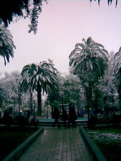 Plazalosandes.jpg