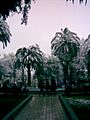 Plazalosandes