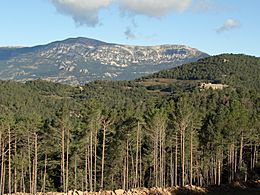 Port del Comte des de Busa.JPG