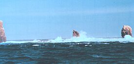 Rocas Alijos.jpg