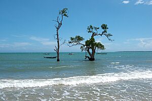 Archivo:Roxas, Sulu Sea, Trees standing in the sea, Palawan, Philippines