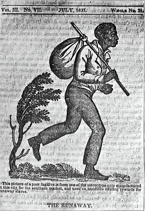 Archivo:Runaway slave
