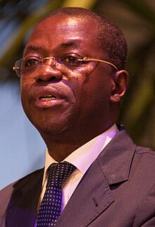 Séraphin Moundounga - June 2015 (cropped).jpg