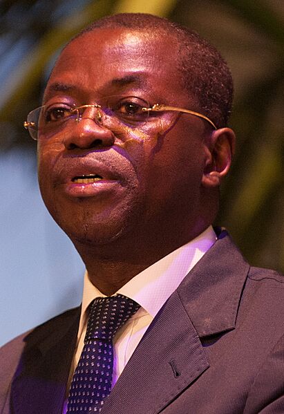 Séraphin Moundounga - June 2015 (cropped)