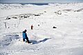 Summit run
