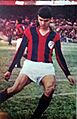 Telch 1964