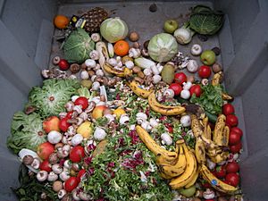Archivo:Trashed vegetables in Luxembourg