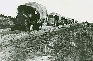 Archivo:US convoy in Mexico, 1916 army.mil-2008-03-28-083643