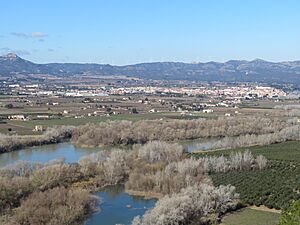 Archivo:Vega de Mora de Ebro, cuenca del río Ebro