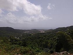 View from Los Bohios de Jaime on PR-975 in Río Abajo, Ceiba, Puerto Rico.jpg