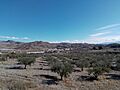 Vista de Las Alcubillas