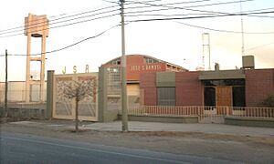 Archivo:Vitivinicultura altos